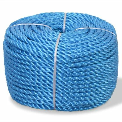 VidaXL Corde torsadée Polypropylène 10 mm 250 m Bleu 3 VidaXL Corde torsadée Polypropylène 10 mm 250 m Bleu