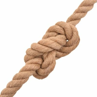 VidaXL Corde 100 % jute 14 mm 250 m 3 VidaXL Corde 100 % jute 14 mm 250 m – Image 2
