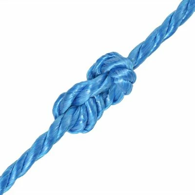 VidaXL Corde torsadée Polypropylène 10 mm 250 m Bleu 4 VidaXL Corde torsadée Polypropylène 10 mm 250 m Bleu – Image 2